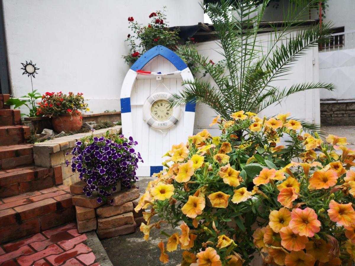 Casa Fotografului Marines * Constanţa