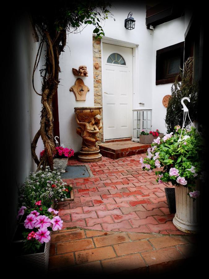 Casa Fotografului Marines * Constanţa